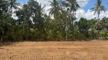 Gambar 4 View Sawah 100 Jt An Tanah Dijual Sleman, Barat Pasar Godean