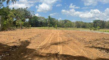 Gambar 4 View Sawah 100 Jt An Tanah Dijual Sleman, Barat Pasar Godean