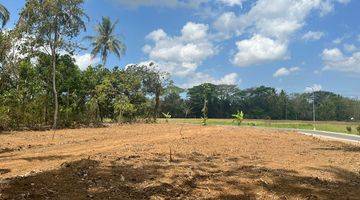 Gambar 1 View Sawah 100 Jt An Tanah Dijual Sleman, Barat Pasar Godean