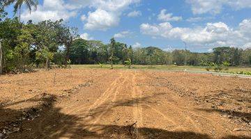 Gambar 5 View Sawah 100 Jt An Tanah Dijual Sleman, Barat Pasar Godean