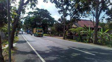 Gambar 2 Tanah pinggir jalan denpasar gilimanuk jembrana negara bali