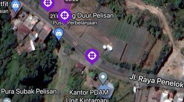 Gambar 2 Tanah di Penelokan kintamani 1000 m² SHM