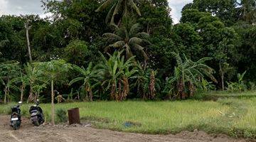 Gambar 5 Tanah Murah Jogja Dekat Uii Kaliurang , SHM P Akses Papasan