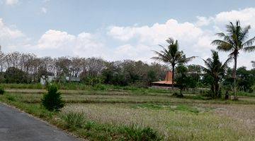 Gambar 2 Tanah Pensiunan Jogja Dijual Dekat Kaliurang View Merapi