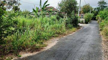 Gambar 3 Tanah murah 200m2 toyaning ungasan IDR 6,5jt/m2