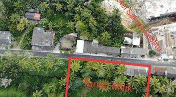 Gambar 1 Tanah komersial 3150m2 jln utama tegallalang Ubud idr 2 jt/m2