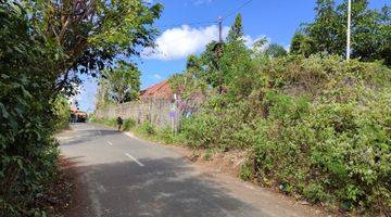 Gambar 2 Lease hold land at labuansait 1,22ha idr 24 mill/Ara/years