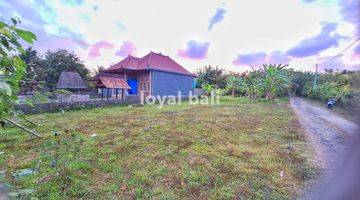 Gambar 5 Tanah, Land With Good Area In Jembrana, Bali