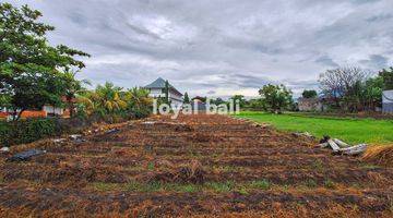 Gambar 2 Tanah 20 Are, 2.000m2 Excellent Land In Popular Area In Buleleng, Bali