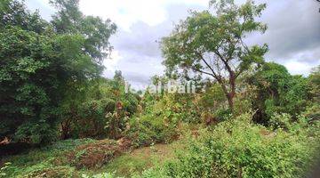 Gambar 3 Tanah 15.000m² Land In Of Tegal Linggah, Buleleng, Bali