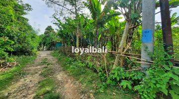 Gambar 2 Tanah, Land 500m² Near Jimbaran Beach, Badung, Bali