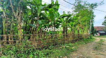 Gambar 3 Tanah, Land 500m² Near Jimbaran Beach, Badung, Bali