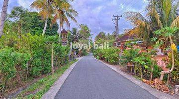 Gambar 4 Tanah, Land With Good Area In Jembrana, Bali