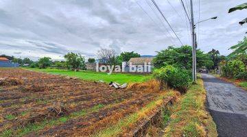 Gambar 1 Tanah 20 Are, 2.000m2 Excellent Land In Popular Area In Buleleng, Bali