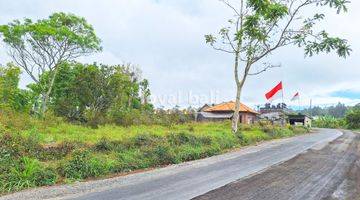 Gambar 1 Tanah 3.700m² Land In Of Kintamani, Bali