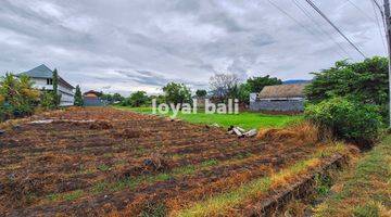 Gambar 4 Tanah 20 Are, 2.000m2 Excellent Land In Popular Area In Buleleng, Bali