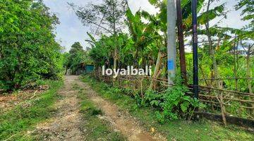 Gambar 1 Tanah, Land 500m² Near Jimbaran Beach, Badung, Bali