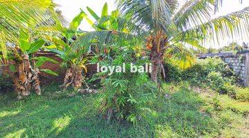 Gambar 3 Tanah, Amazing Land With Full Sea View In Lovina, Buleleng, Bali