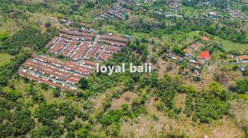 Gambar 2 Tanah 15.000m² Land In Of Tegal Linggah, Buleleng, Bali