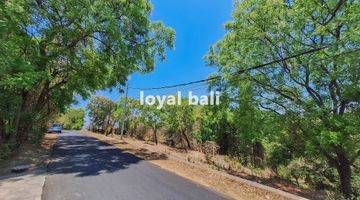 Gambar 5 Tanah 15.000m² Land In Of Tegal Linggah, Buleleng, Bali