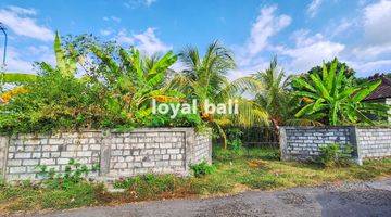 Gambar 1 Tanah, Amazing Land With Full Sea View In Lovina, Buleleng, Bali