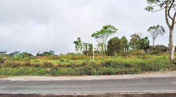 Gambar 3 Tanah 3.700m² Land In Of Kintamani, Bali