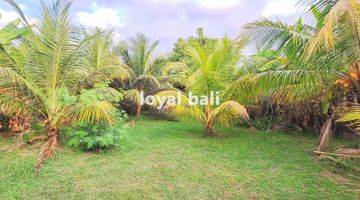 Gambar 2 Tanah, Amazing Land With Full Sea View In Lovina, Buleleng, Bali