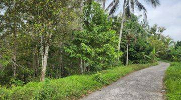 Gambar 1 Tanah view jungle dan los sungai, Bonus pohon durian dan kelapa