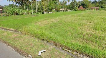 Gambar 2 Tanah di sentral ubud, akses jalan 7 meter