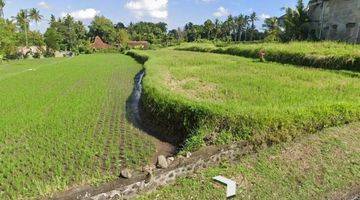 Gambar 4 Tanah di sentral ubud, akses jalan 7 meter