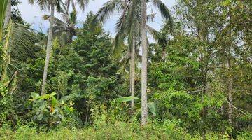 Gambar 2 Tanah view jungle dan los sungai, Bonus pohon durian dan kelapa