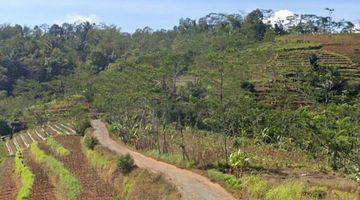 Gambar 3 Tanah subur siap tanam di temanggung jawa tengah