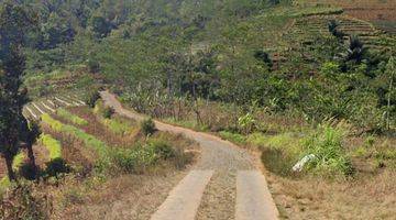 Gambar 4 Tanah subur siap tanam di temanggung jawa tengah