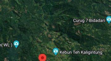 Gambar 2 Tanah subur siap tanam di temanggung jawa tengah