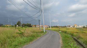 Gambar 4 Dijual Tanah View Sawah Di Cemagi