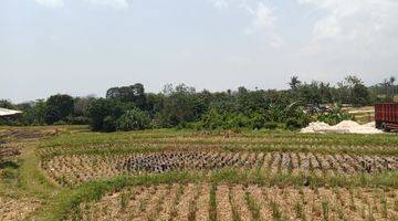 Gambar 5 Dijual Tanah View Sawah Di Cemagi