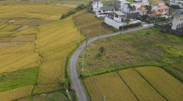 Gambar 3 Dijual Tanah View Sawah Di Cemagi