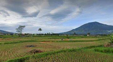 Gambar 1 Tanah Di Pakan Labuah Tigobaleh Bukittinggi