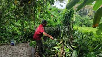 Gambar 4 Dijual Tanah di Lot Tunduh, Ubud,gianyar, Bali T 0154