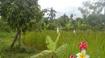 Gambar 1 Jtu 1000, Tanah View Tebing Luas 35 Are Cocok Vila di Tegallalang