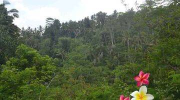 Gambar 5 Jtu 1004, Tanah View Tebing Seluas 40 Are di Tegallalang Bali