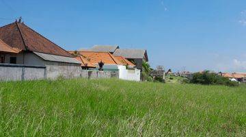 Gambar 1 Tanah:800 M2(8 Are) Super Langka Siap Bangun Di Jln Utama Padang Lenjong Echo Beach Canggu Bali 