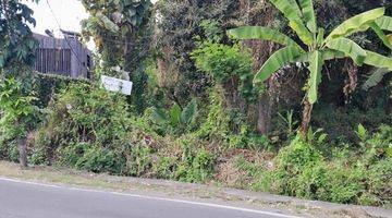 Gambar 4 Tanah:800 M2(8 Are) Super Langka Siap Bangun Di Jln Utama Padang Lenjong Echo Beach Canggu Bali 