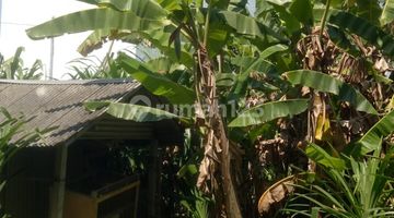 Gambar 1 Tanah:1000 M2(10 are) super langka siap Bangun Di Tibubeneng Canggu Bali 