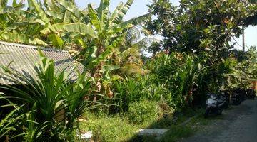 Gambar 3 Tanah:1000 M2(10 are) super langka siap Bangun Di Tibubeneng Canggu Bali 
