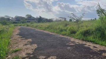 Gambar 2 Tanah:400 M2(4 are) super langka siap Bangu. di pantai Pererenan Bali 