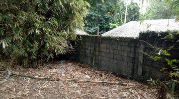 Gambar 1 Tanah:5000 M2(50 are) los sungai super langka siap Bangun Di Buwit kaba kaba Tabanan Bali 
