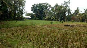Gambar 2 Tanah:5000 M2(50 are) los sungai super langka siap Bangun Di Buwit kaba kaba Tabanan Bali 