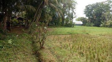 Gambar 4 Tanah:5000 M2(50 are) los sungai super langka siap Bangun Di Buwit kaba kaba Tabanan Bali 