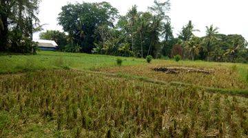 Gambar 5 Tanah:5000 M2(50 are) los sungai super langka siap Bangun Di Buwit kaba kaba Tabanan Bali 